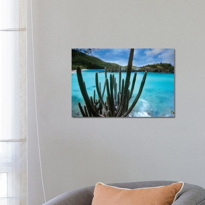 Cactus Growing Along Trunk Bay, Virgin Islands National Park, Virgin Islands by Tim Fitzharris - Wrapped Canvas Print