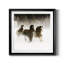 Winter Roundup II - photographie avec cadre photo-532812901-532812898