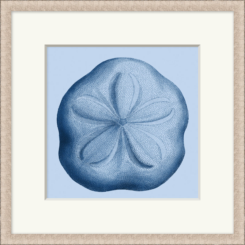 Sea Specimin 5 - peinture encadrée