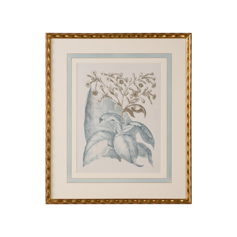 Besler Botanicals in Willow Blue I