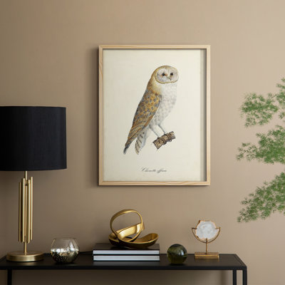 «French Owls VI», reproduction encadrée - bois massif