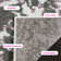 Gall Floral Hand Woven Area Rug