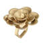 Camellia Gold NR P/4