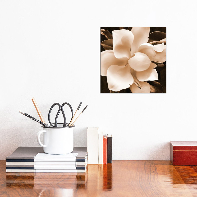 Sepia Magnolia II by Christine Zalewski - Wrapped Canvas Print, 30.48 cm H x 30.48 cm W