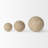 Geniyah Abstract Vase Filler-88561650