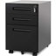 Murrah 41cm Wide 3 -Drawer Mobile Steel File Cabinet-168632748