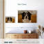 Border collie Brampt Expressive-107829353