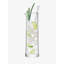 Gin Glass Carafe