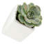 Ensemble de pots à fleurs muraux en céramique 3 pièces Ealy-27330512