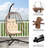 Colona Rattan Swing Egg Chair with Stand