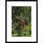 « orang-outaning on retombed tree trunk », reproduction de photo encadrée-21087967