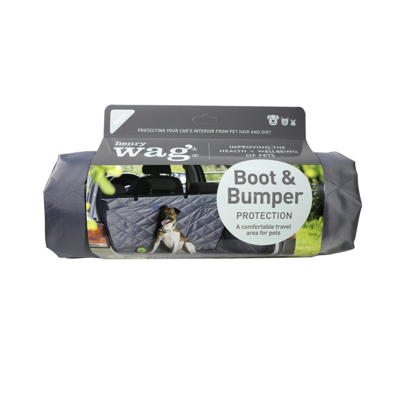 Collapsible Pet Carrier