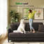 Giavonnie 65'' Velvet Square Arms Loveseat-337985094