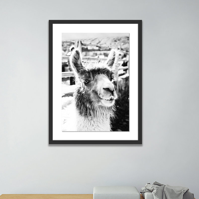 Llama Color Print by Erica Singleton, 40" H x 29" W x 2.5" D, Black