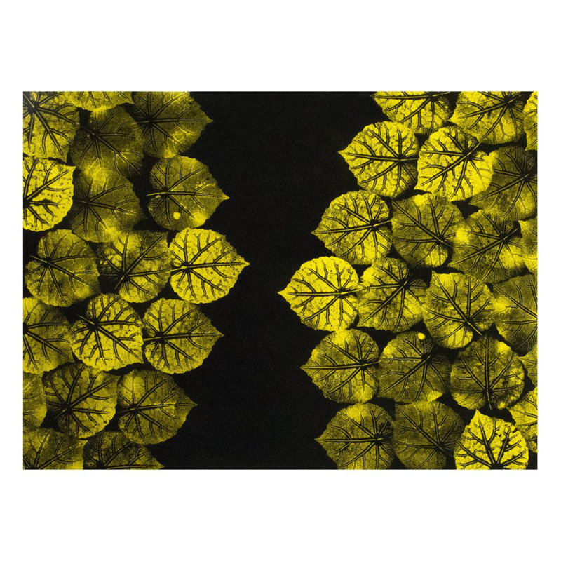 Gold Leaves Black Lacquer Placemat