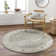 Oriental Indoor Rug