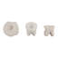 Sculptures modernes en coquille de résine pour la décoration intérieure - Statue de bord de mer, objets décoratifs pour la décoration de salon - ensemble de 3, 6 ", 5", 4 ", blanc