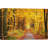 Autumn Fall " Autumn Fall Yellow Forest "-99543165