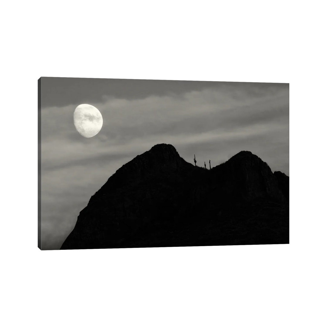 Moonset Over Saguaro Cactus