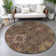 Machine Washable Indoor/Outdoor Jacinto ACN2151 Medallions Rug