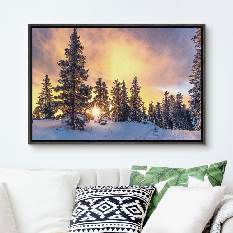 Coucher de soleil, hiver, pin, neige, forêt, nature, photographie, paysage sauvage, paysage, décor, Cadre flottant noir