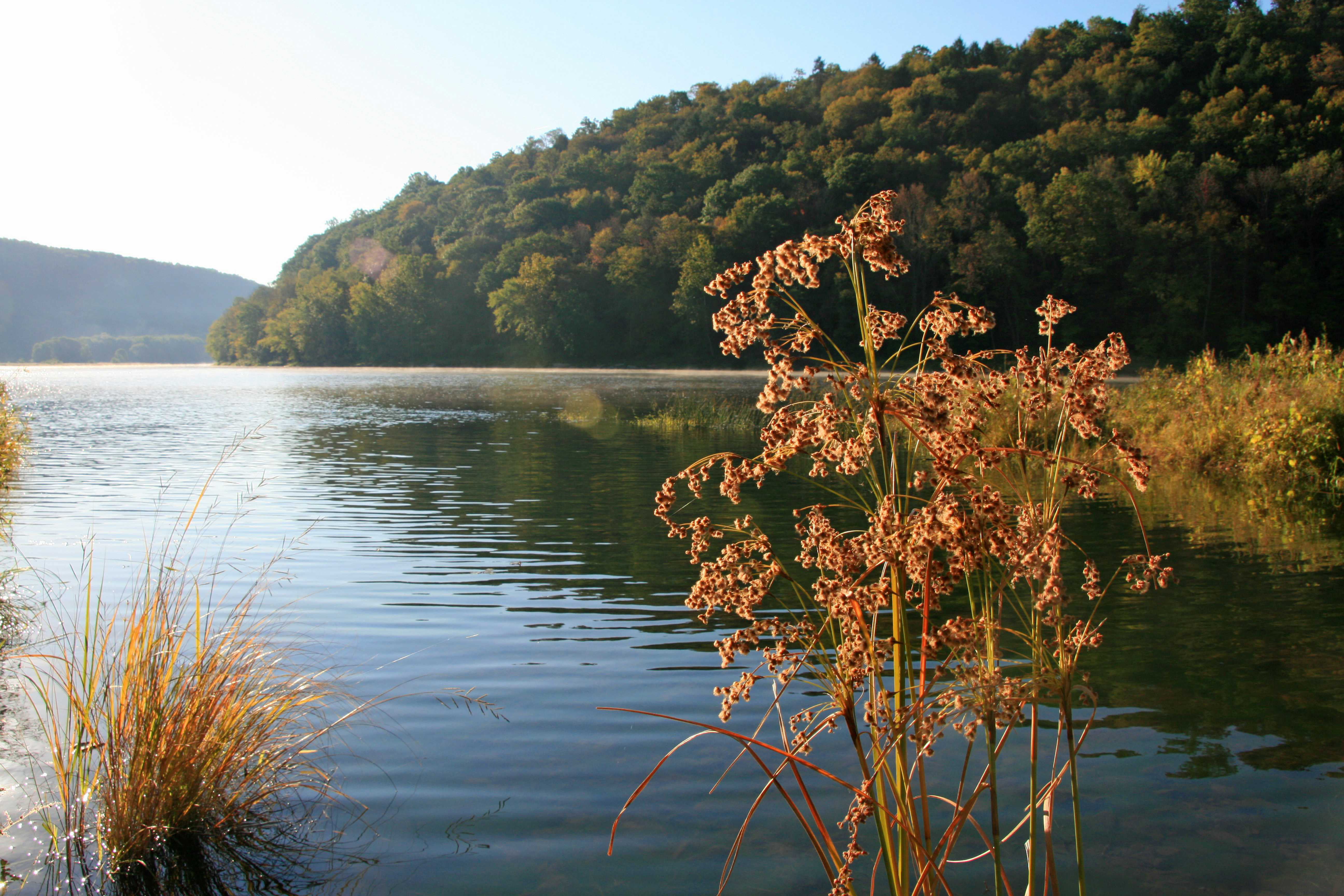 Millwood Pines Allegheny River by Reflectionsbygeno - Wrapped Canvas ...