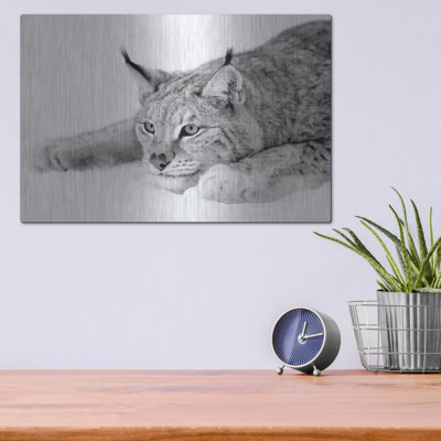 «Lynx 1» par PhotoINC Studio