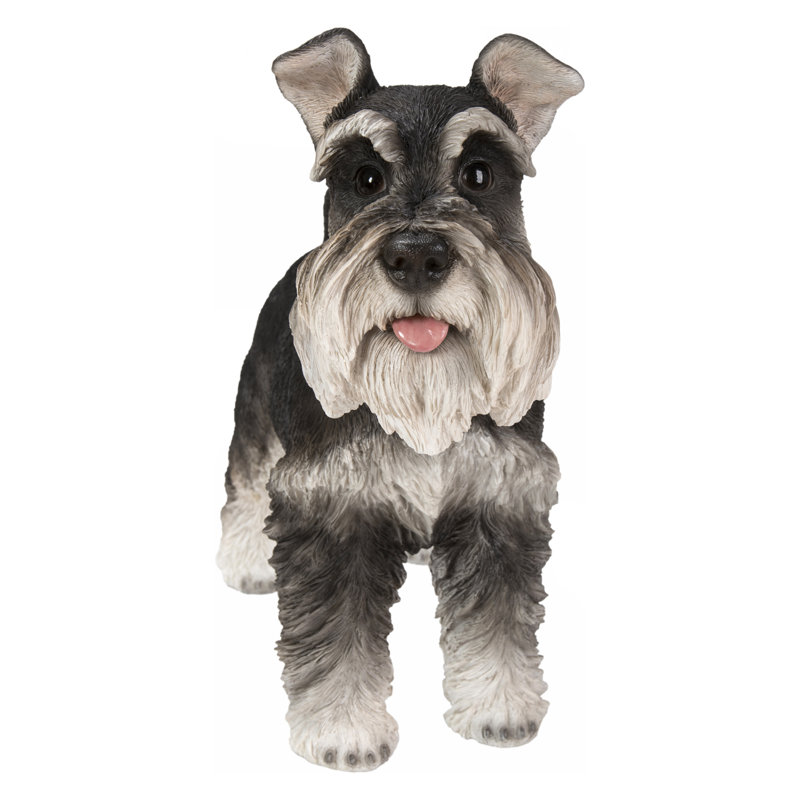 Standing Miniature Schnauzer