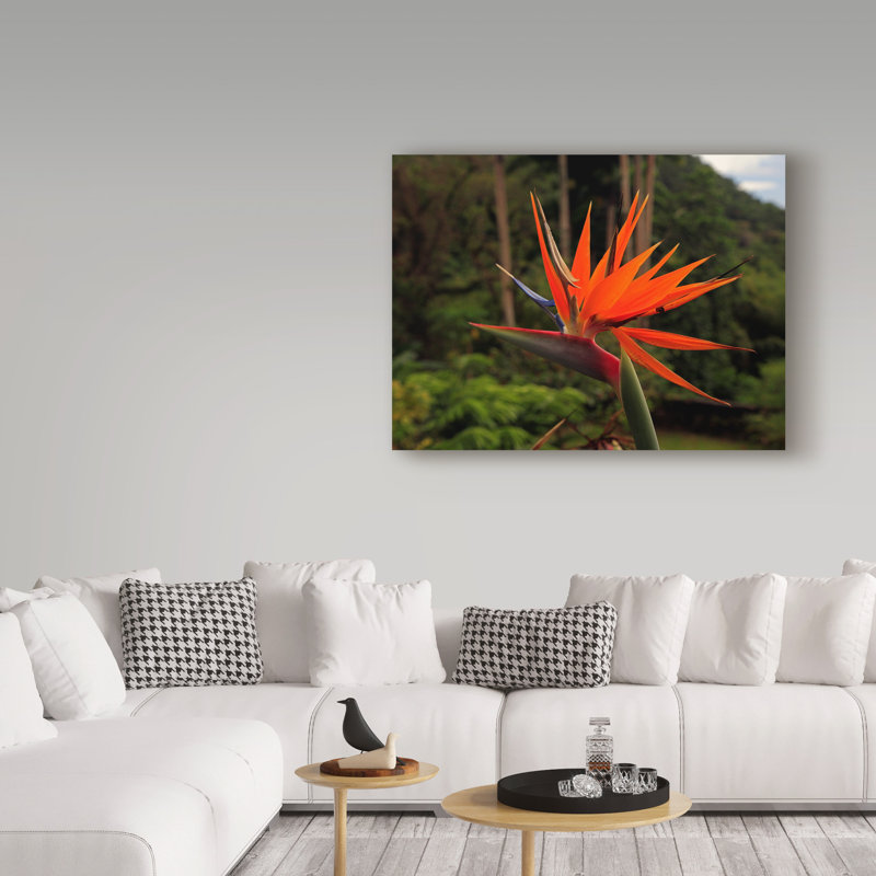 «Bird Of Paradise Red» par Garv, reproduction de photo sur toile tendue, H 35 po x l 47 po x P 2 po