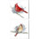 Oiseaux et branches - Cardinals par Kelsey Wilson, art sur toile (ensemble de 2)