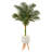Faux Palm Tree in Clay Planter-715493574