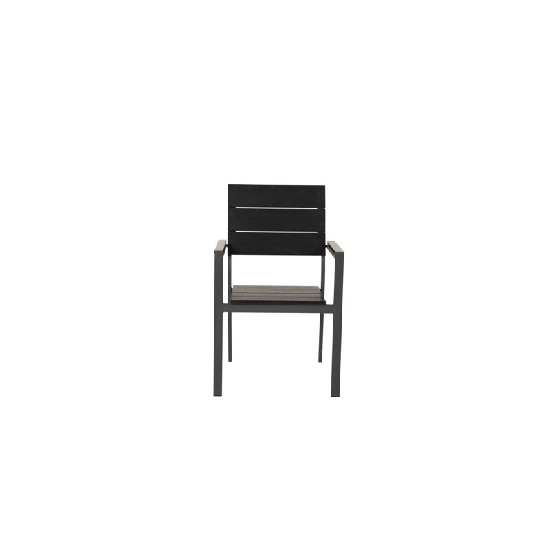 Faiyaz Patio Dining Armchair with Cushion, Black