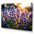 Wrapped Canvas