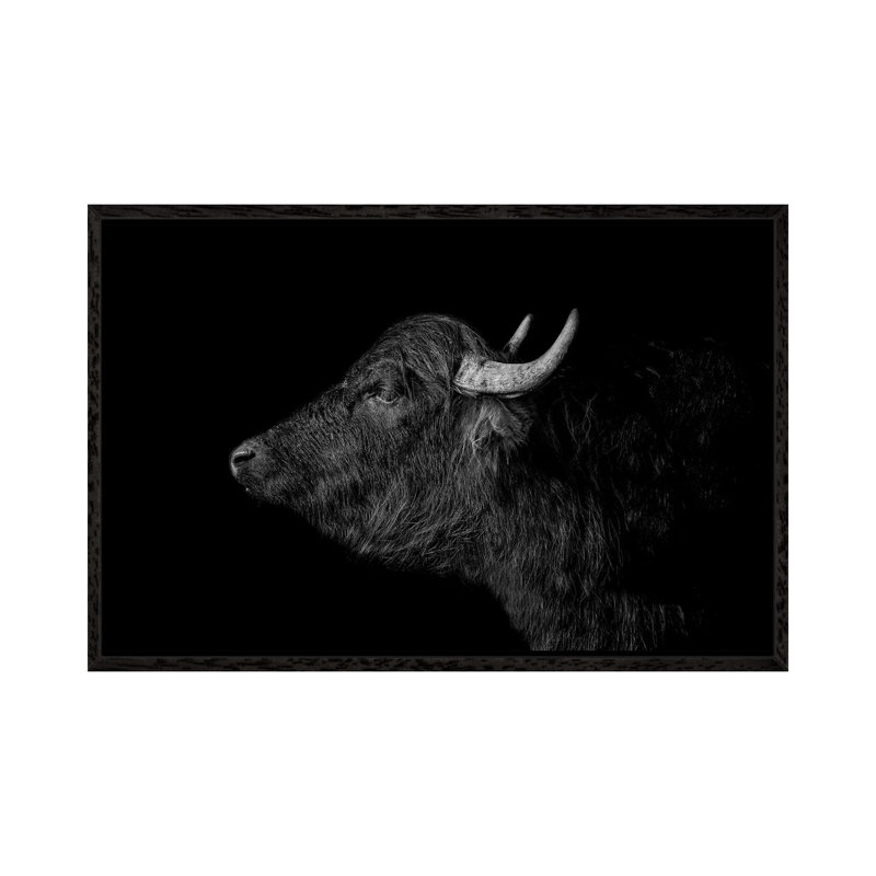 Buffalo - Print on Canvas, Black Framed, 101.6 cm H x 66.04 cm W