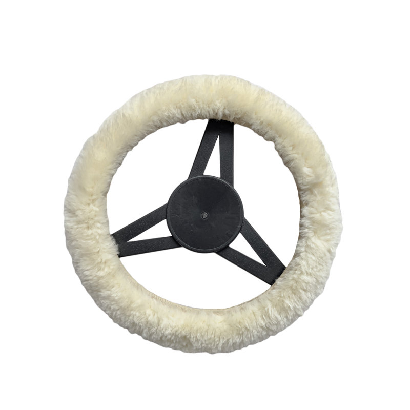 Housse élastique pour automobile, Beige