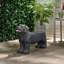 Banc d'extérieur MGO DOG Bench, noir mat + noir, aucun assemblage requis-1874327159