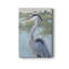 Blue Heron Portrait I - Toile tendue avec châssis de qualité supérieure - prête à être accrochée-1276210567