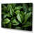 Wrapped Canvas selected