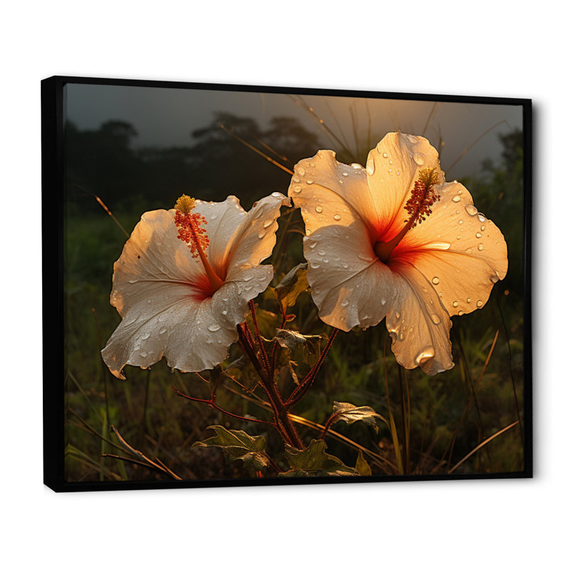 Hibiscus Field With Sunset II - Floral Canvas Art Print, H 24 po x l 32 po x P 1 po, Cadre flottant noir