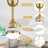 Damecia 52'' Modern Ceiling Fan with LED Light and Remote Control-123175728