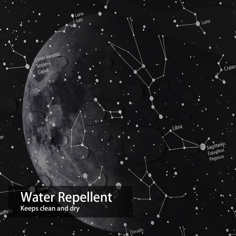 Rideau de douche Constellation Starry Universe, L 72 po x l 72 po