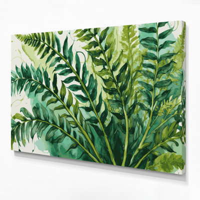 Art mural sur toile Botanical Nephrolepis