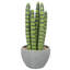 Plante grasse artificielle 10,5 po en pot