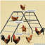 Chicken Activity Shelf,Chicken Coop Perches
