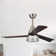 Niama 52'' Ceiling Fan with LED Lights