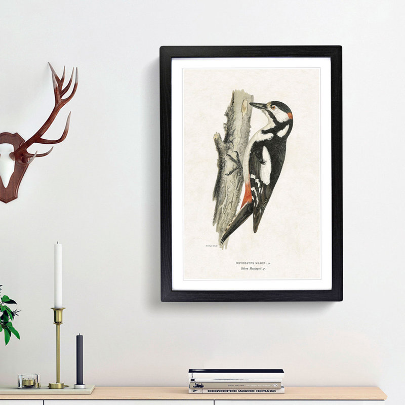 The Great Spotted Woodpecker by Von Wright - Picture Frame Painting Print, 36cm H x 27cm W x 2cm D, Black Framed