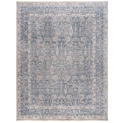 Msr0644 Whitney Performance Oriental Rug