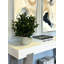 Faux Olive Tree Plant in Fiberstone Pot