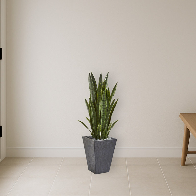 Sansevieria Artificial Plant in Slate Planter