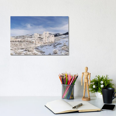 Winter In Lamar Valley by Brian Wolf - Wrapped Canvas Print